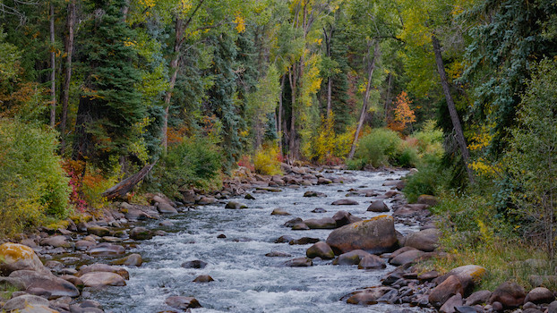 A river lined with reddish rocks flowing through a dense forest with trees that are mostly green but speckled with oranges, yellows, and reds of autumn.