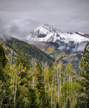 Snow-covered Mt. Daly emerging from clouds, with aspen trees showing early autumn colors in the foreground.