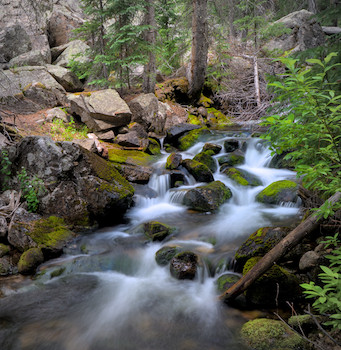 Long exposure photo of a stream flowing over moss-covered rocks, with evergreen trees and large boulders in the background.