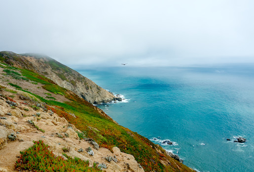 Pacific coastline with tan cliffs covered in green and red plants, and the blue ocean disappearing into fog.